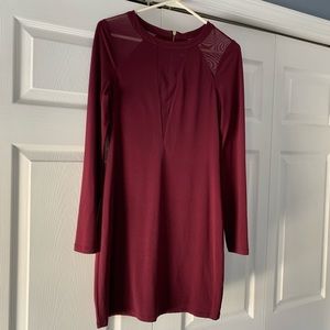 Express Long Sleeve Dress w/ Mesh Cutout